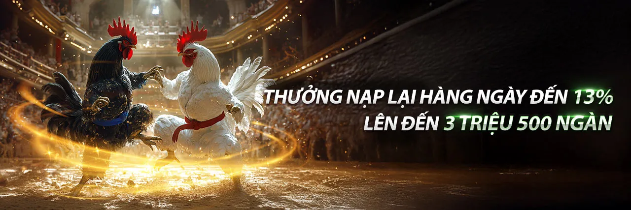 Đá Gà Trực Tuyến Sodo Chính Thức