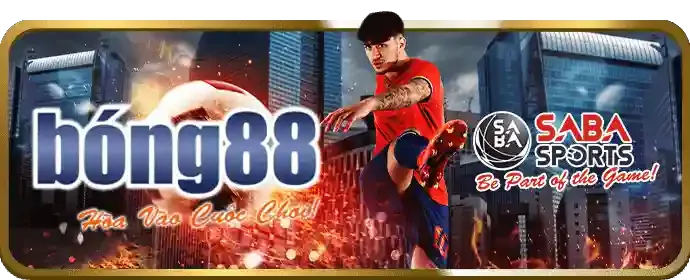Đá gà trực tuyến Sodo Chính Thức
